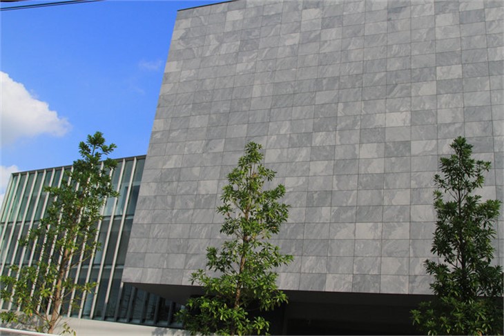 Teils Cladin Wal Allanol Cerrig Naturiol