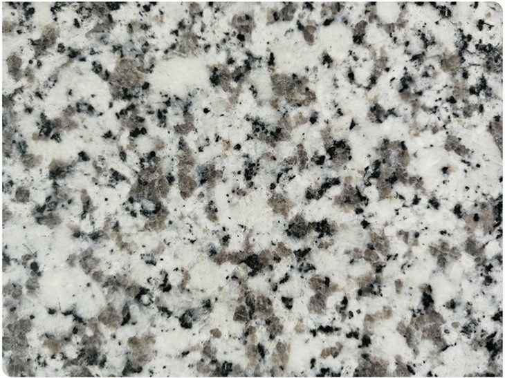 Teils Wal Allanol Gwyn